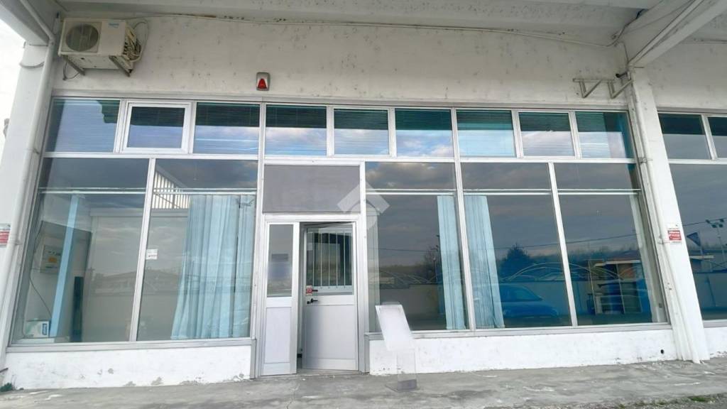 immagine annuncio 5 di 14