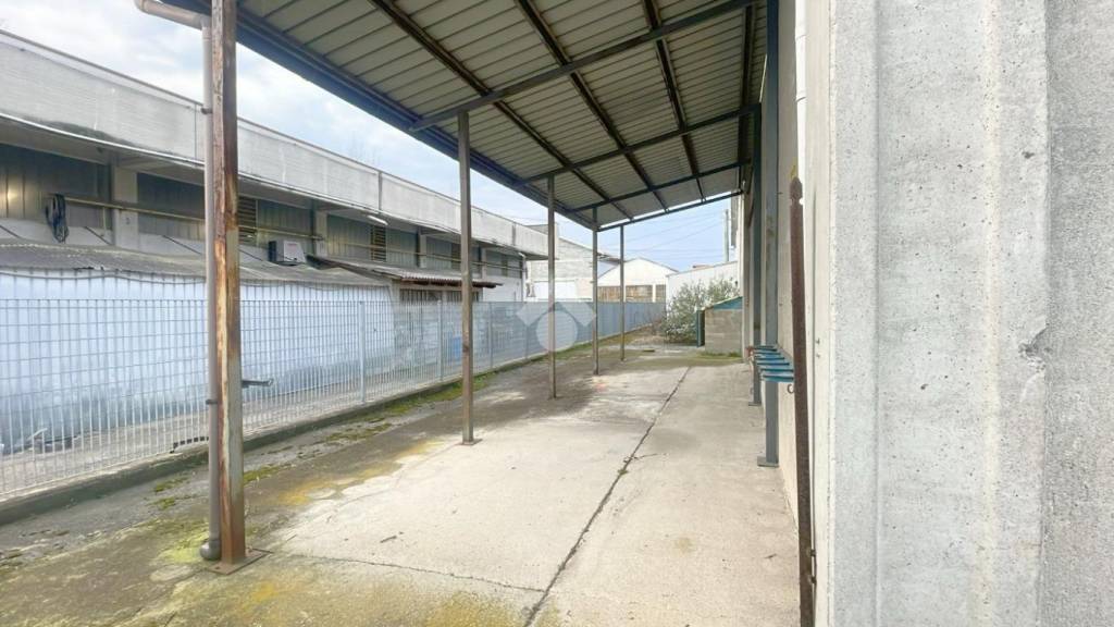 immagine annuncio 9 di 14