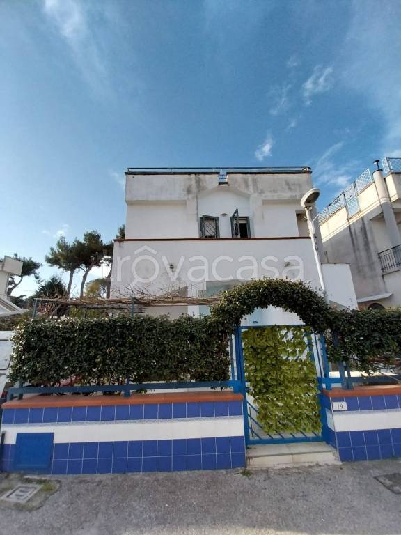 immagine annuncio 6 di 15