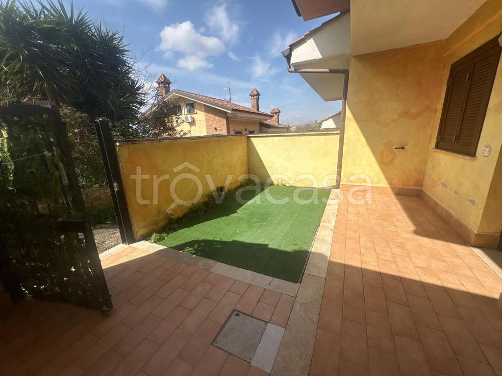 immagine annuncio 5 di 15