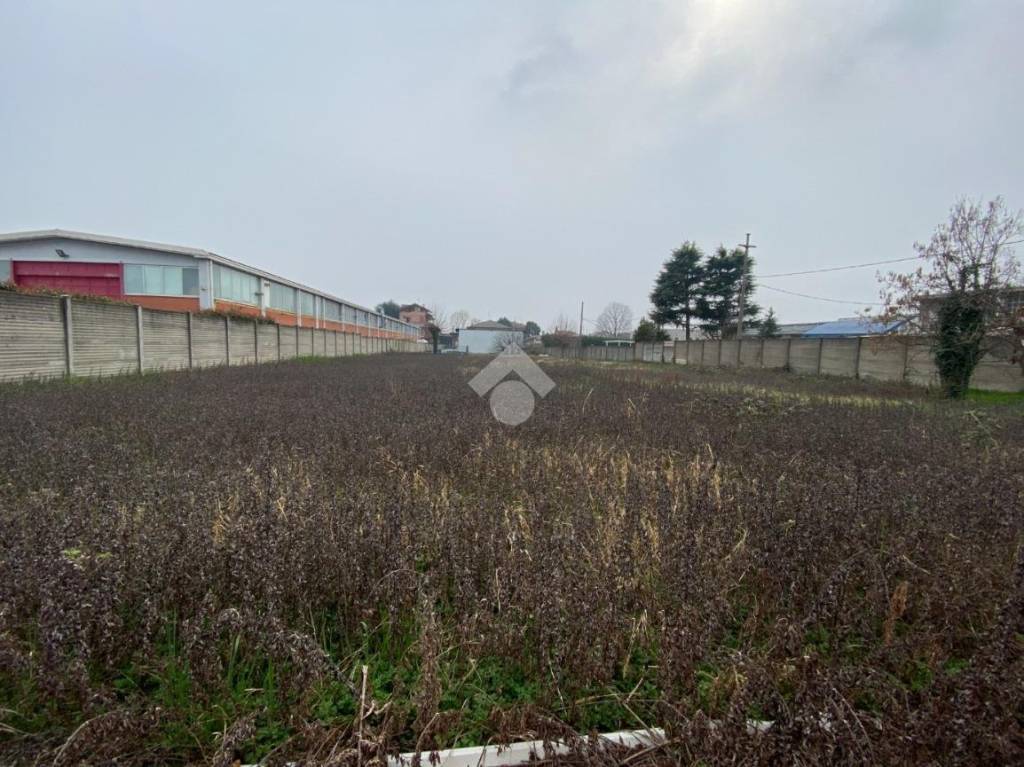 immagine annuncio 1 di 8