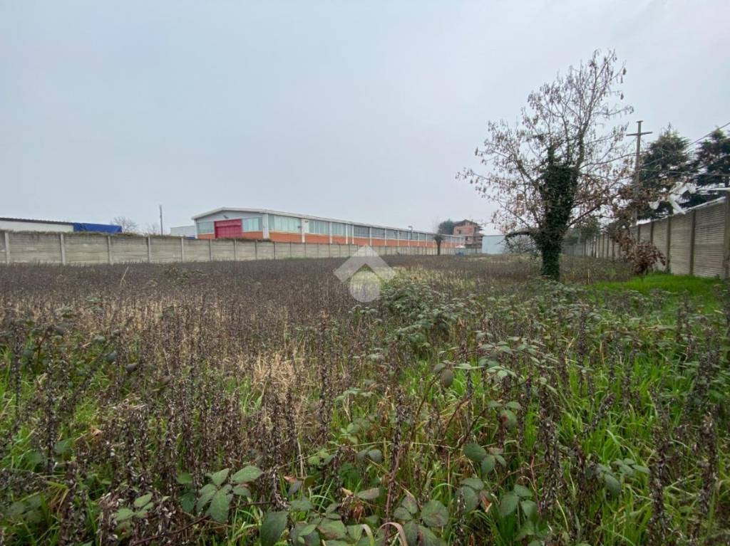 immagine annuncio 3 di 8