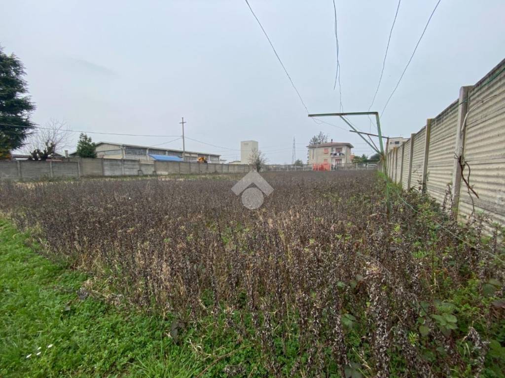 immagine annuncio 4 di 8