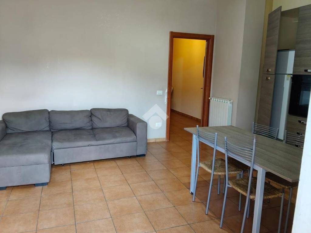 immagine annuncio 4 di 11