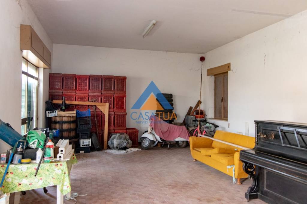 immagine annuncio 12 di 15