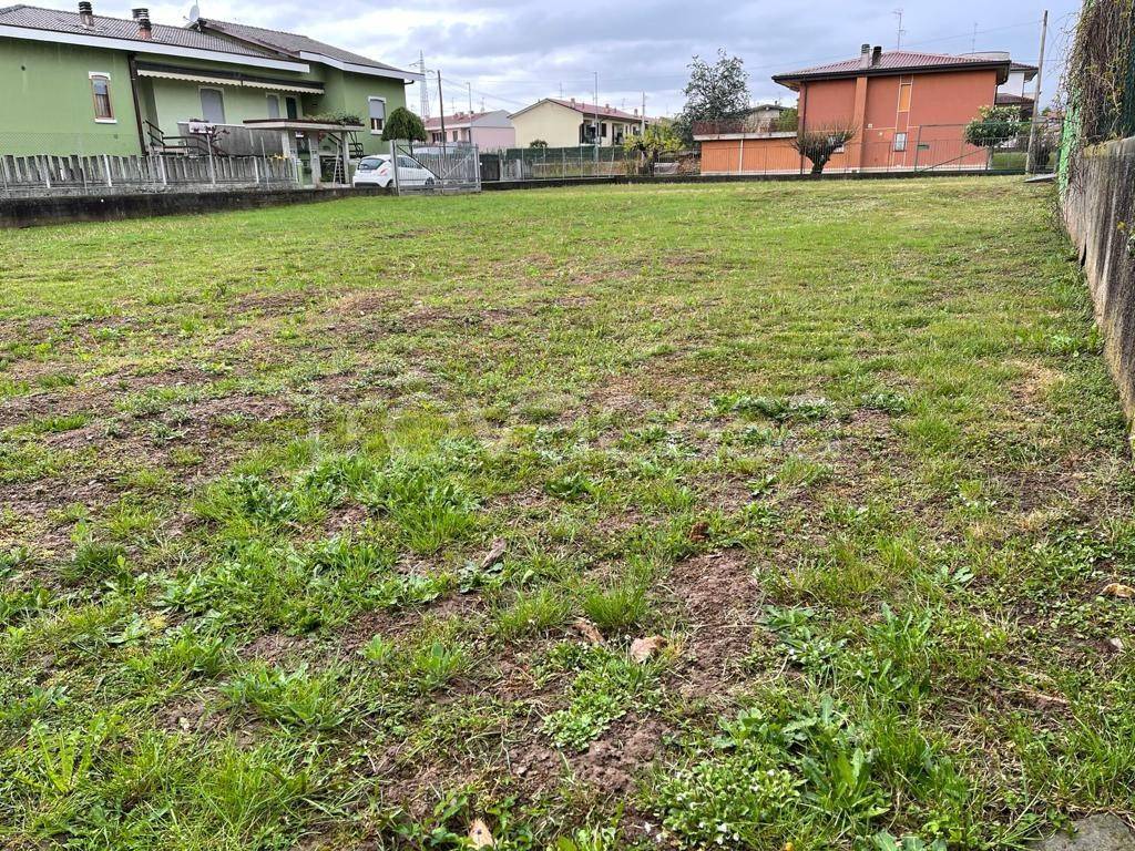 immagine annuncio 6 di 11