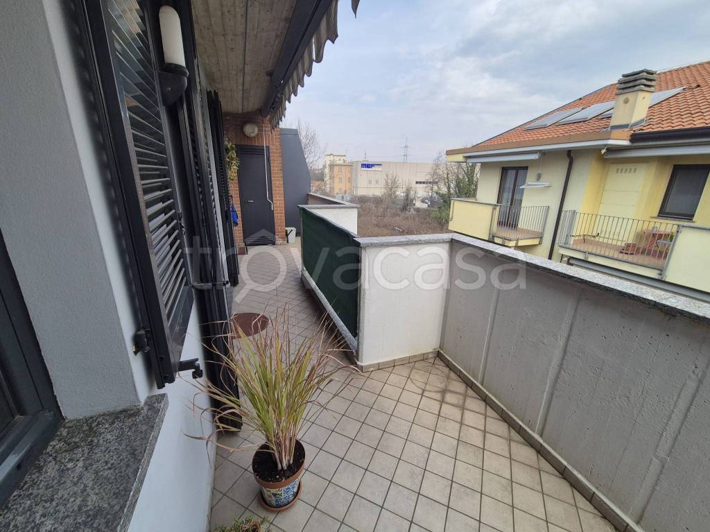 immagine annuncio 10 di 15