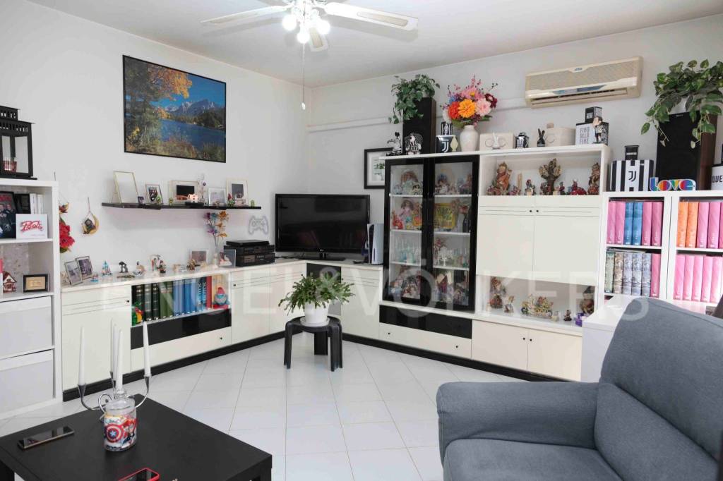 immagine annuncio 1 di 14