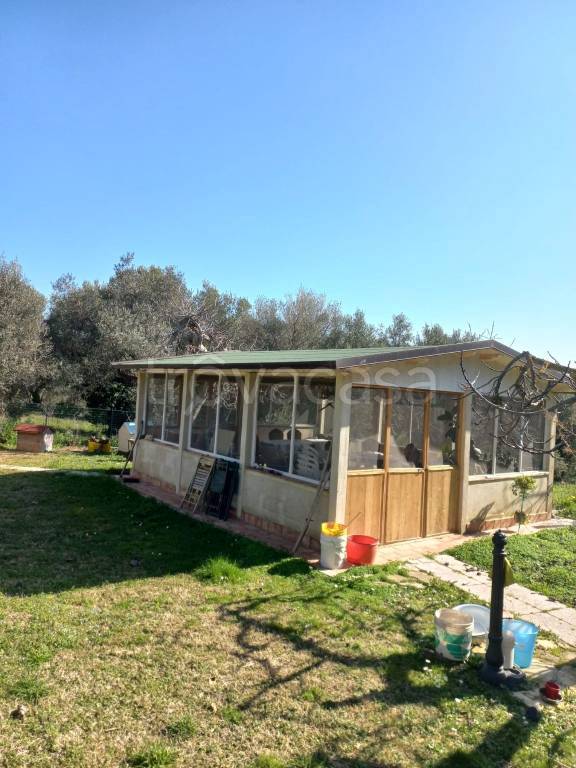 immagine annuncio 4 di 7