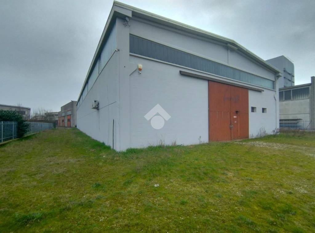 immagine annuncio 12 di 15