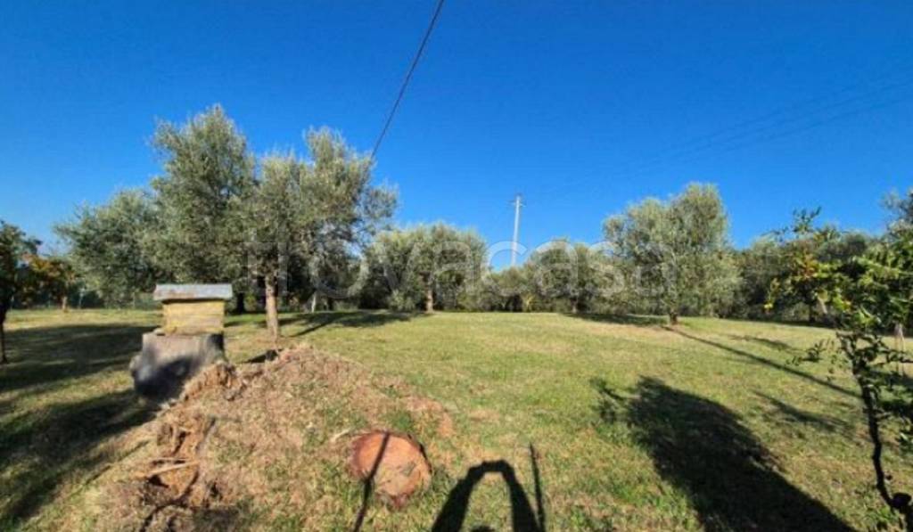 immagine annuncio 6 di 11