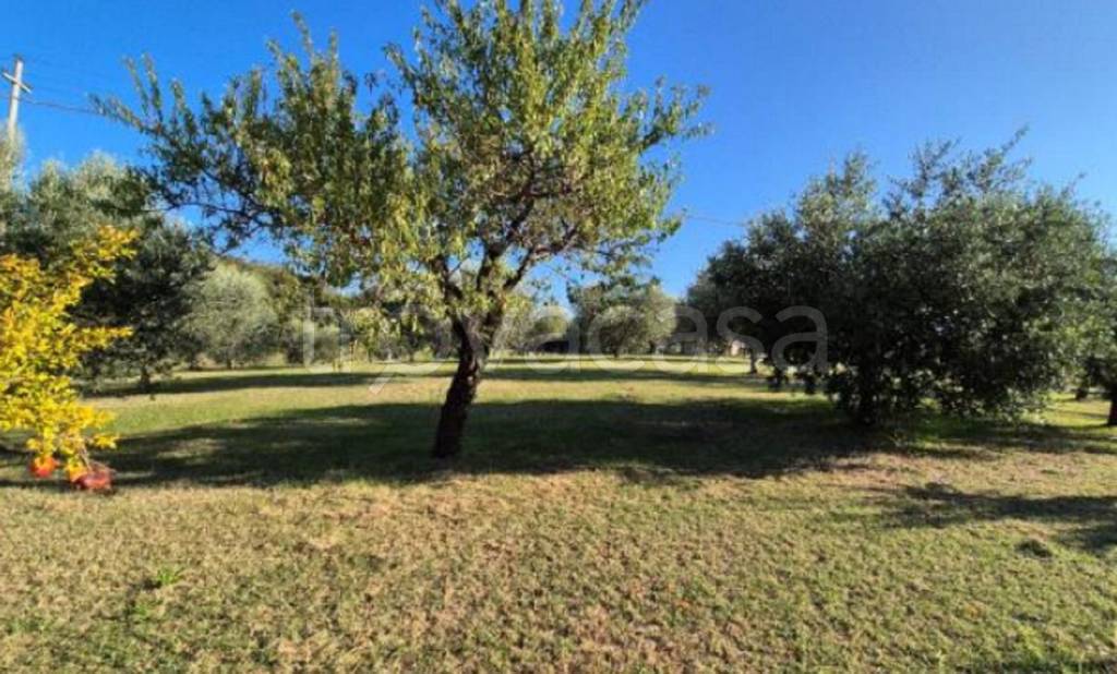 immagine annuncio 7 di 11