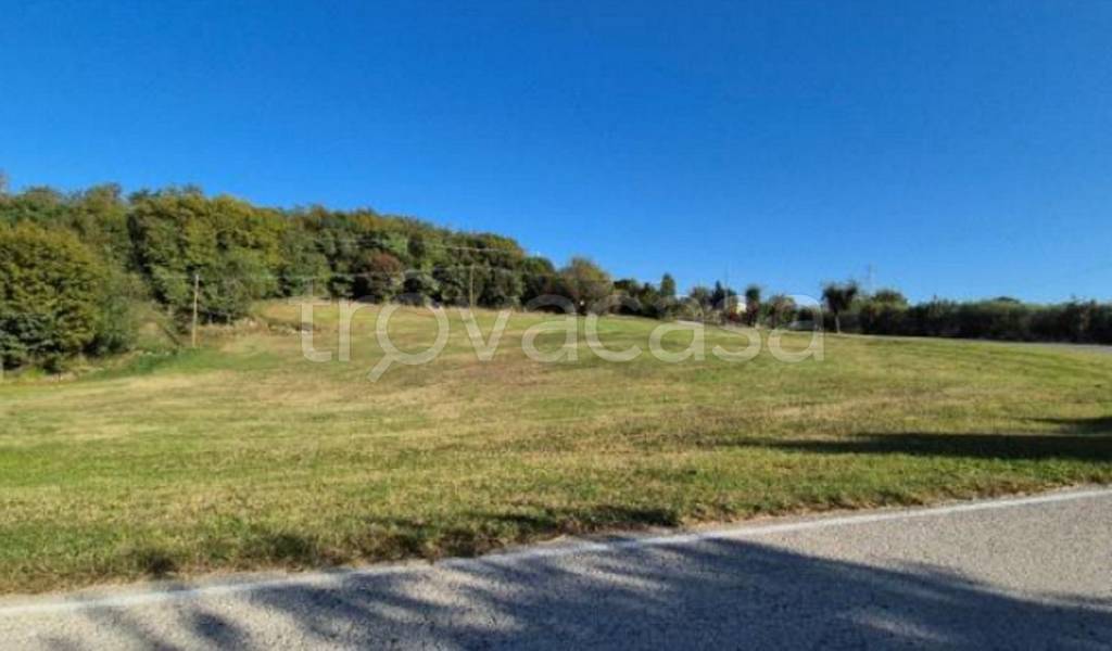 immagine annuncio 10 di 11