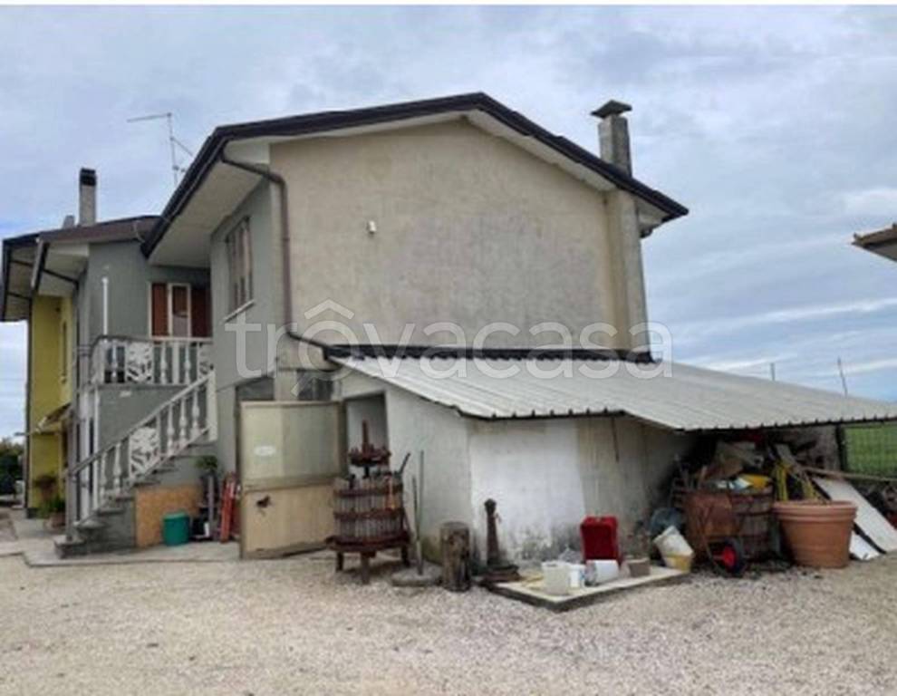 immagine annuncio 5 di 11