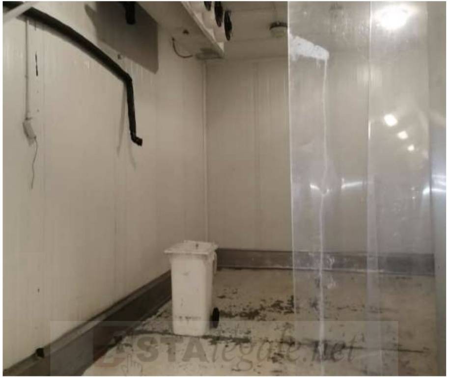 immagine annuncio 4 di 8