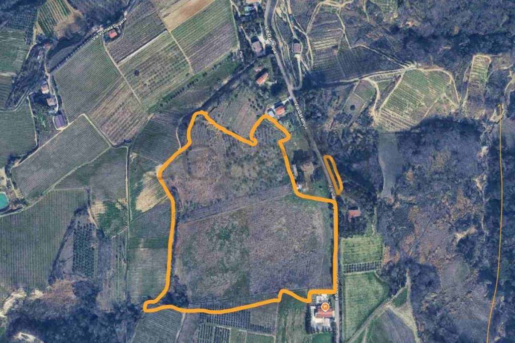 immagine annuncio 1 di 2