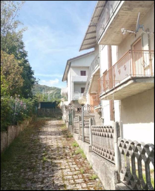 immagine annuncio 2 di 14