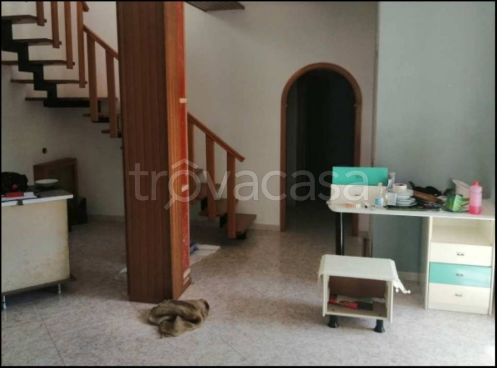 immagine annuncio 6 di 14