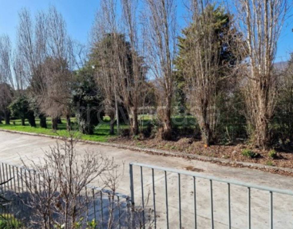 immagine annuncio 9 di 14