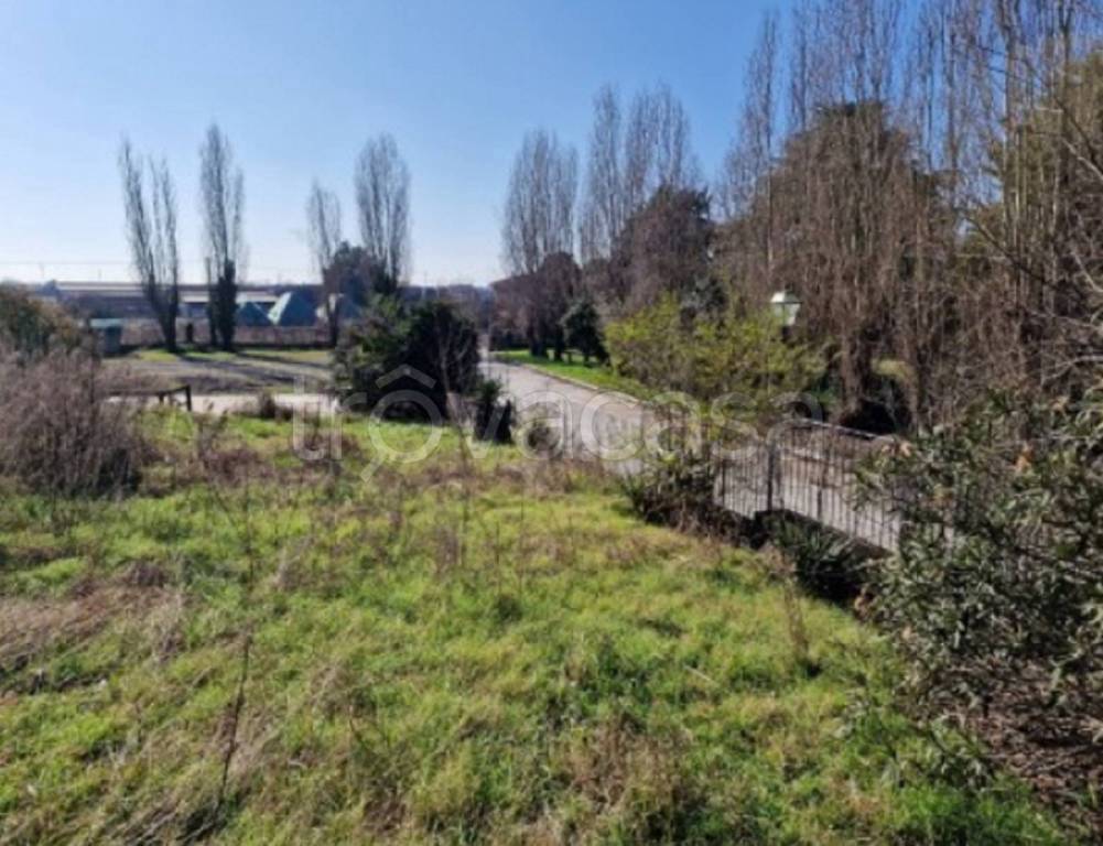 immagine annuncio 11 di 14