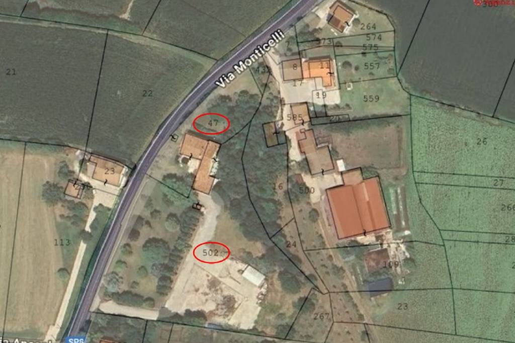 immagine annuncio 12 di 14