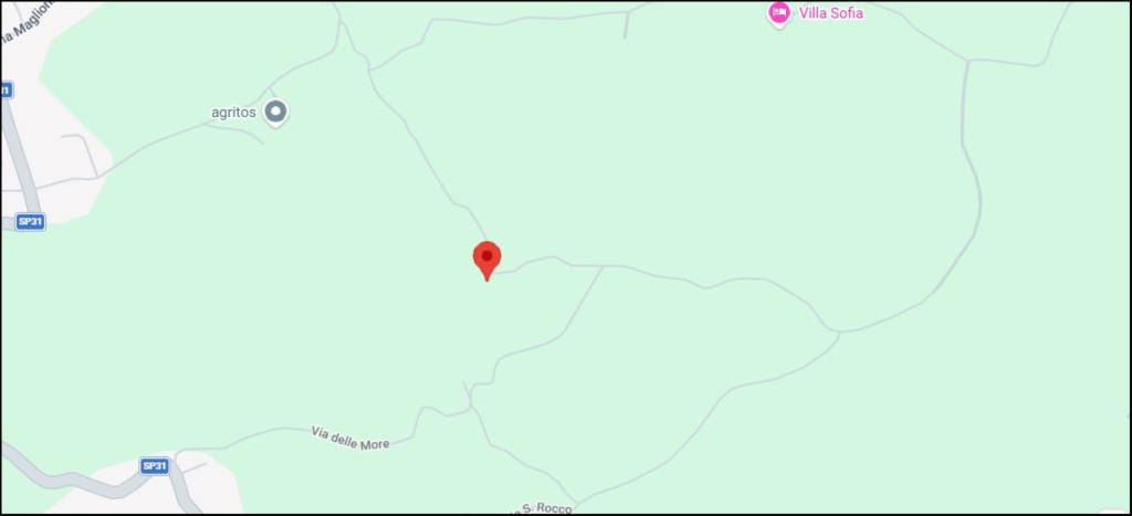 immagine annuncio 10 di 12