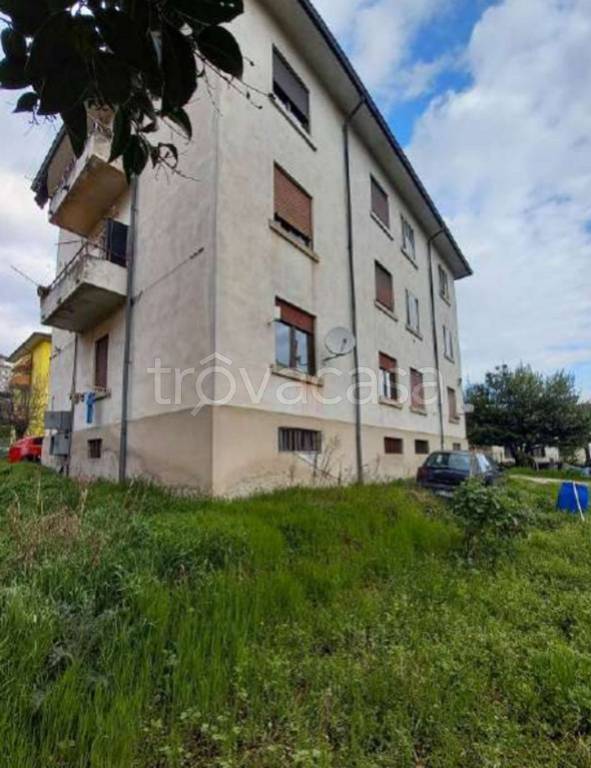 immagine annuncio 6 di 12