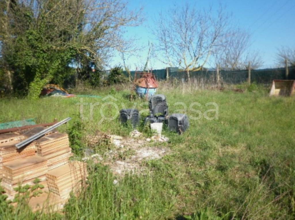 immagine annuncio 3 di 9