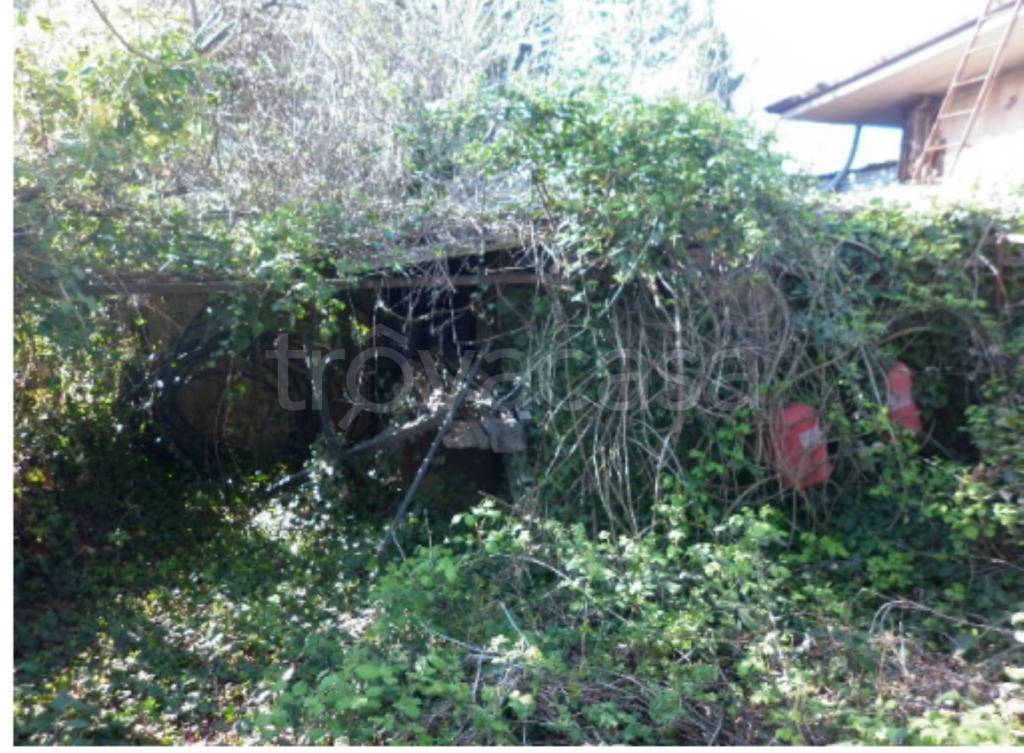 immagine annuncio 5 di 9