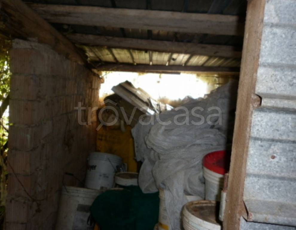 immagine annuncio 6 di 9