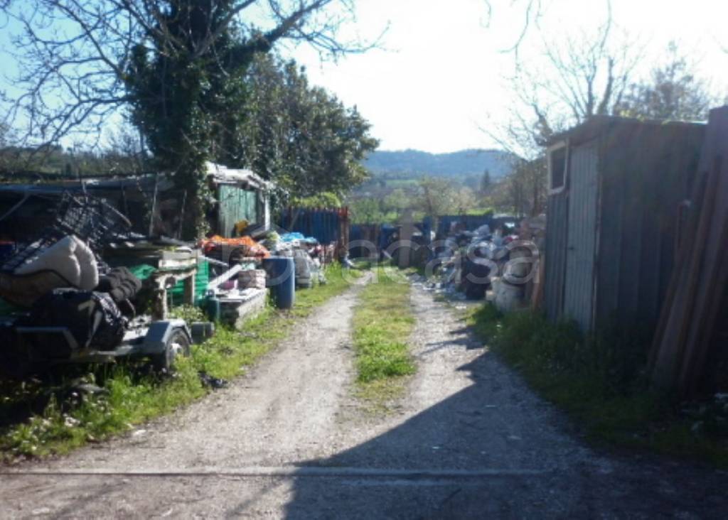 immagine annuncio 7 di 9