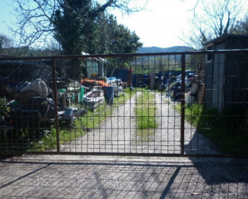 immagine annuncio 8 di 9