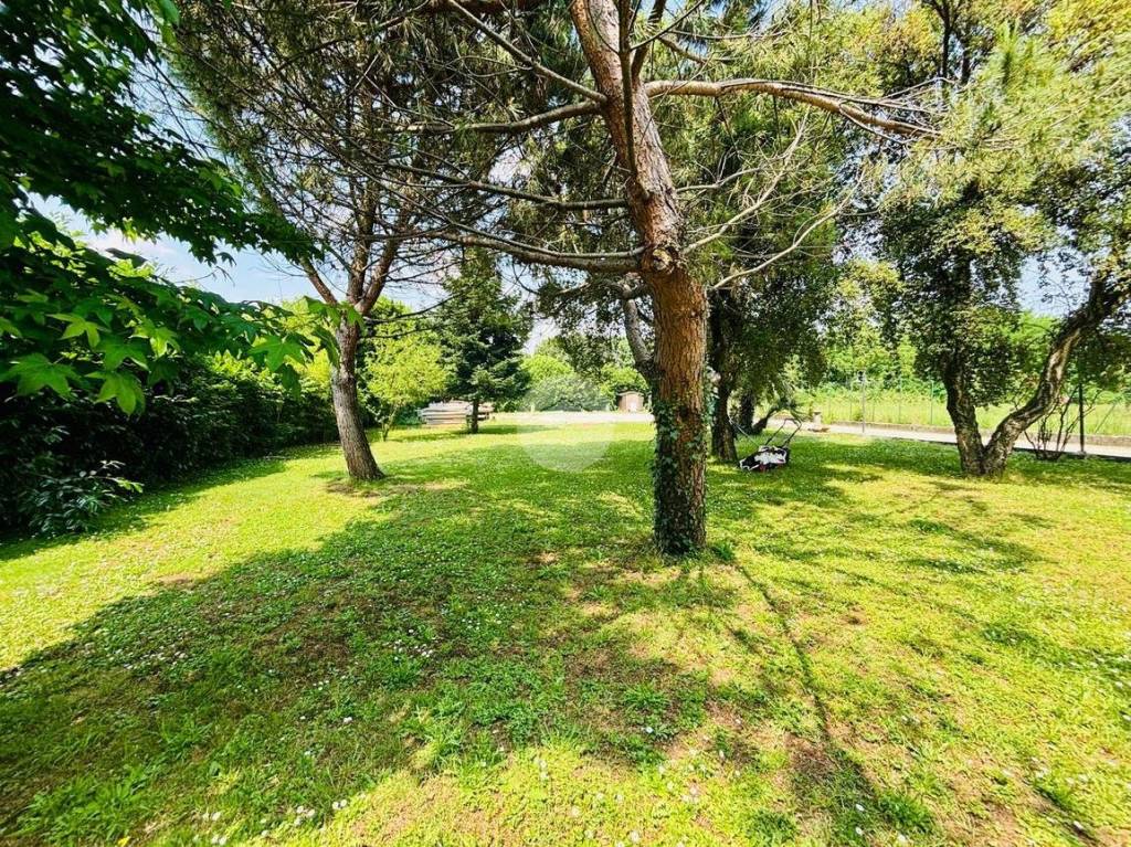 immagine annuncio 1 di 13