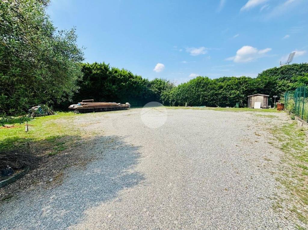 immagine annuncio 7 di 13