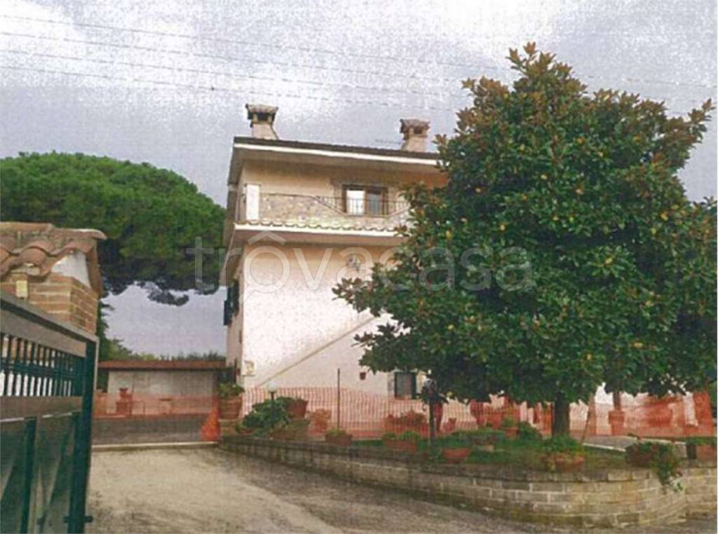 immagine annuncio 1 di 6