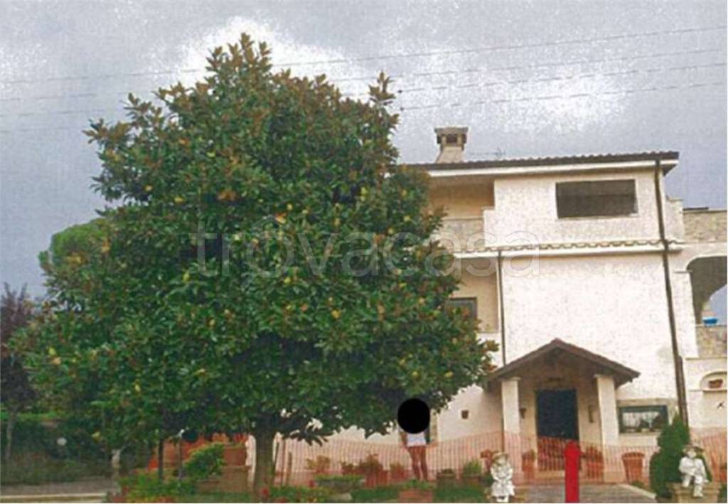 immagine annuncio 2 di 6