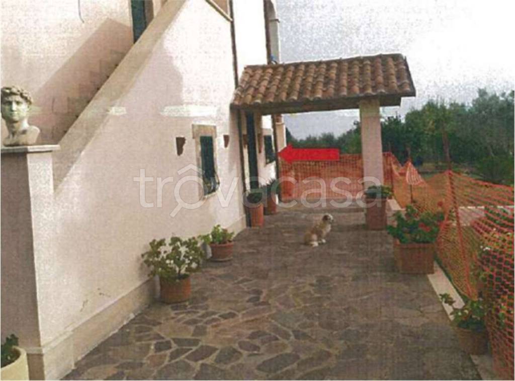 immagine annuncio 3 di 6