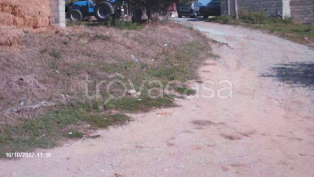 immagine annuncio 6 di 11