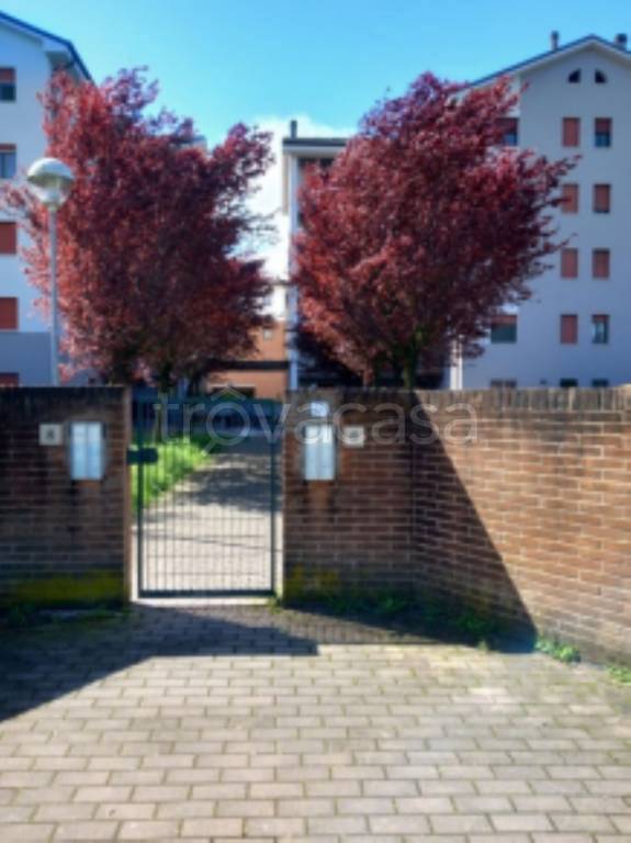 immagine annuncio 2 di 11