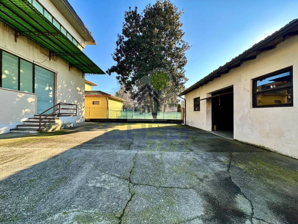 immagine annuncio 6 di 15