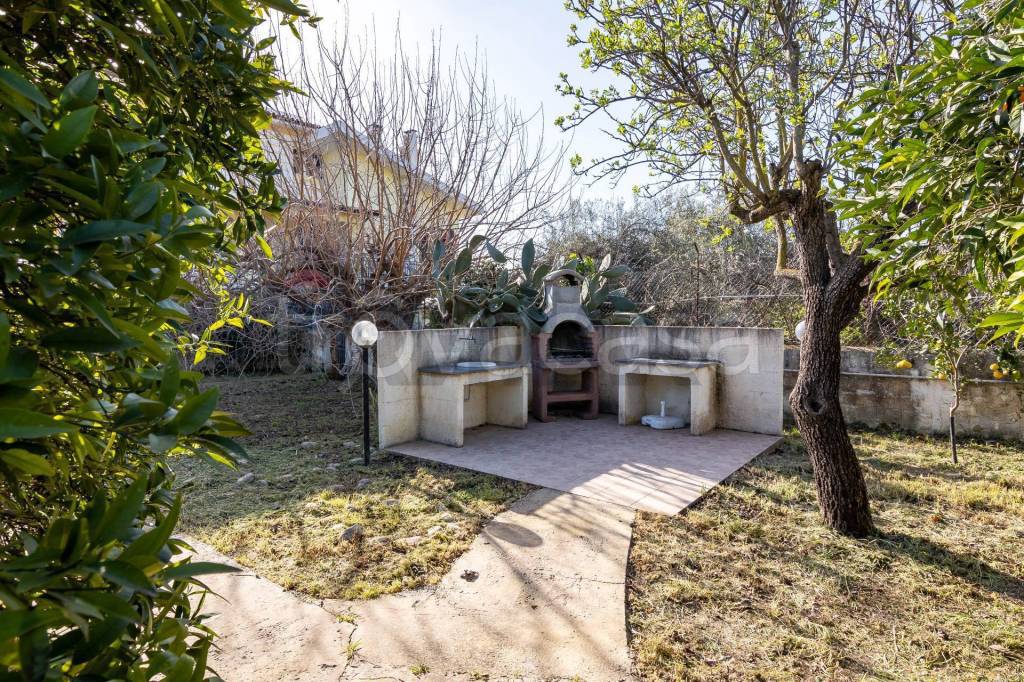 immagine annuncio 9 di 15