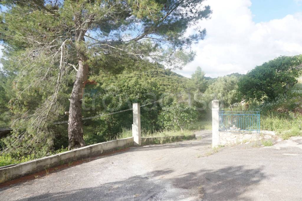 immagine annuncio 11 di 14