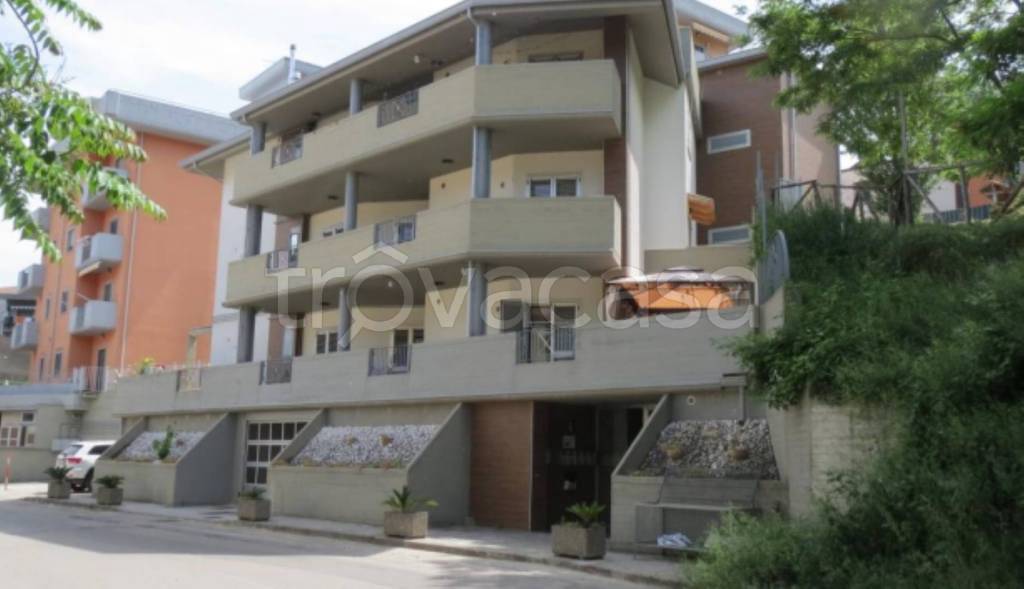 immagine annuncio 1 di 11