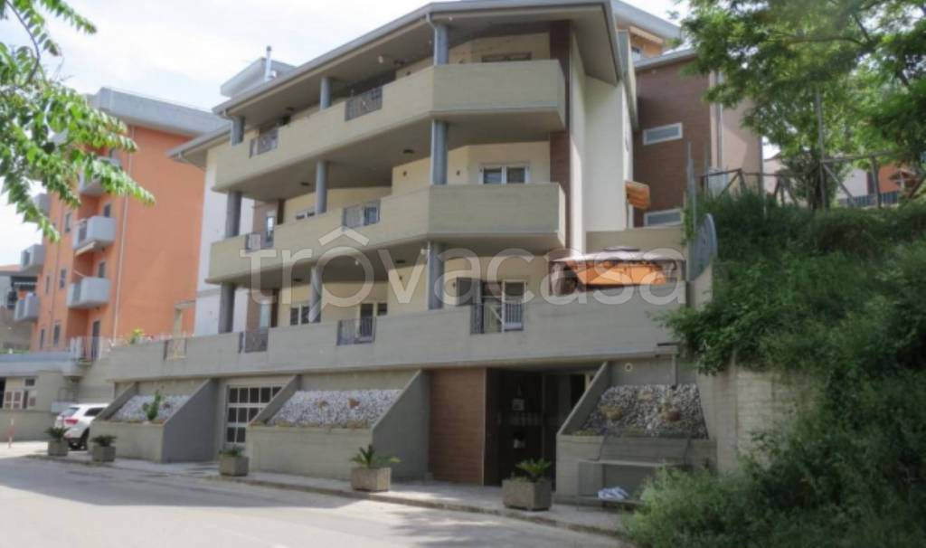 immagine annuncio 4 di 11