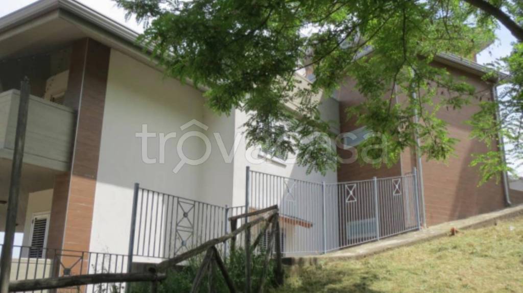 immagine annuncio 3 di 11