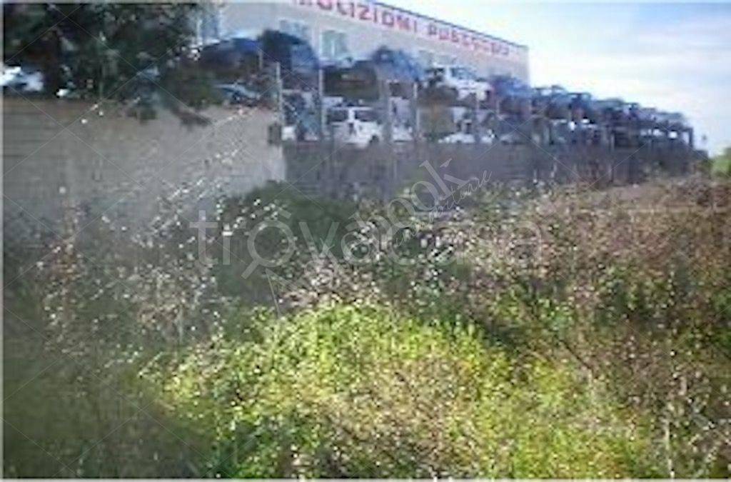 immagine annuncio 10 di 15