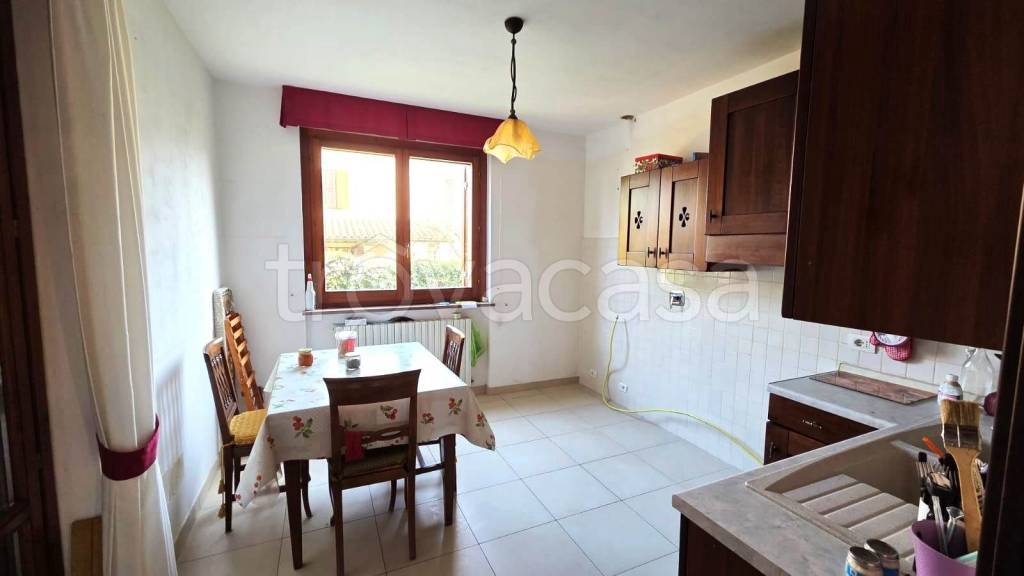 immagine annuncio 2 di 14