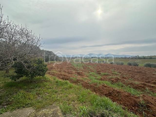 immagine annuncio 10 di 13