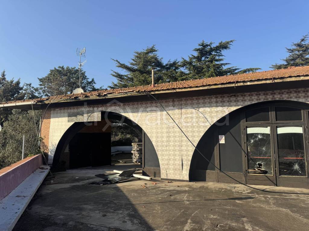 immagine annuncio 2 di 13