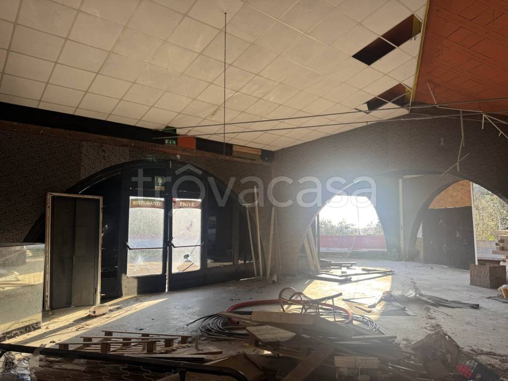 immagine annuncio 9 di 13